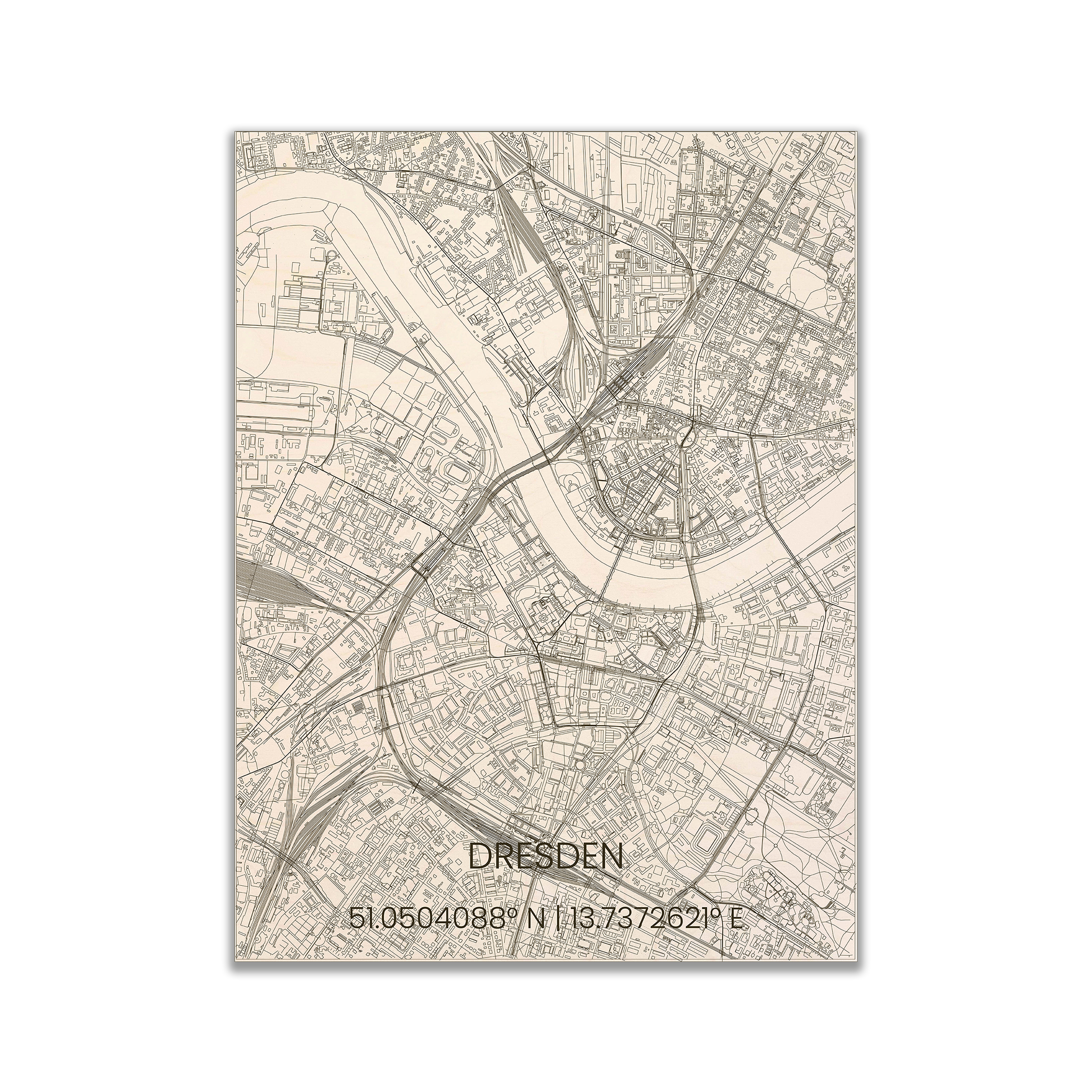 Dresden - Brandthout