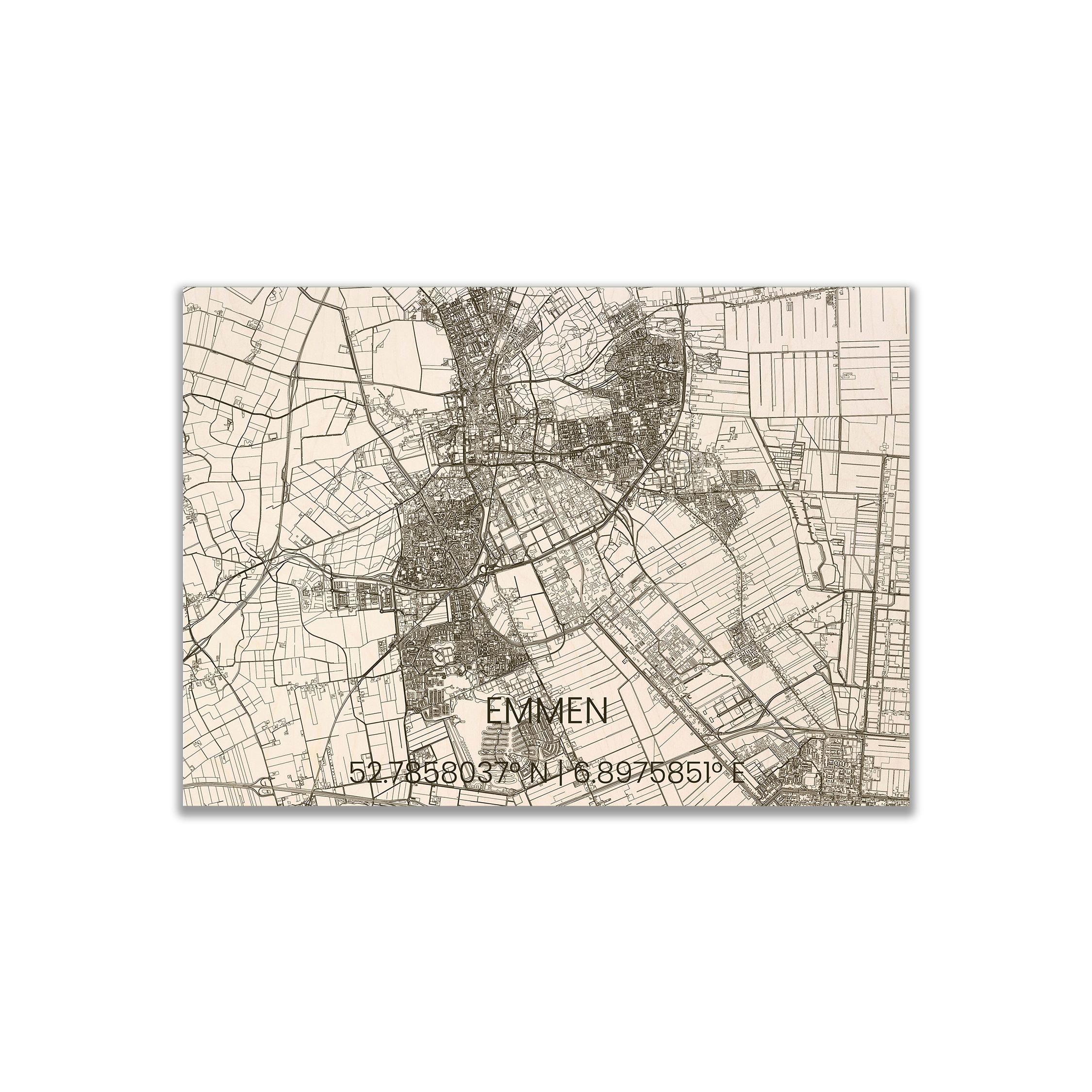 Emmen - Brandthout