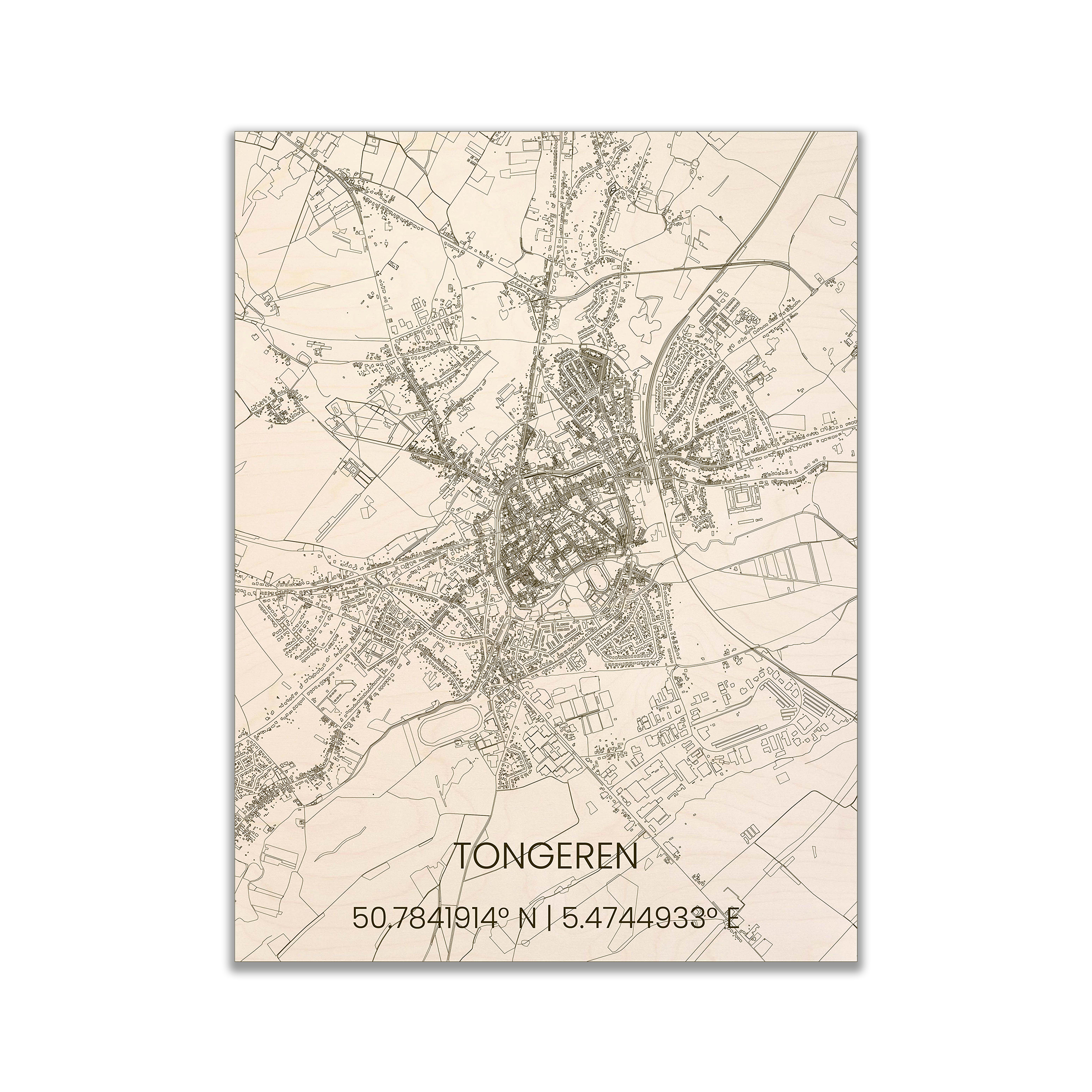 Tongeren - Brandthout
